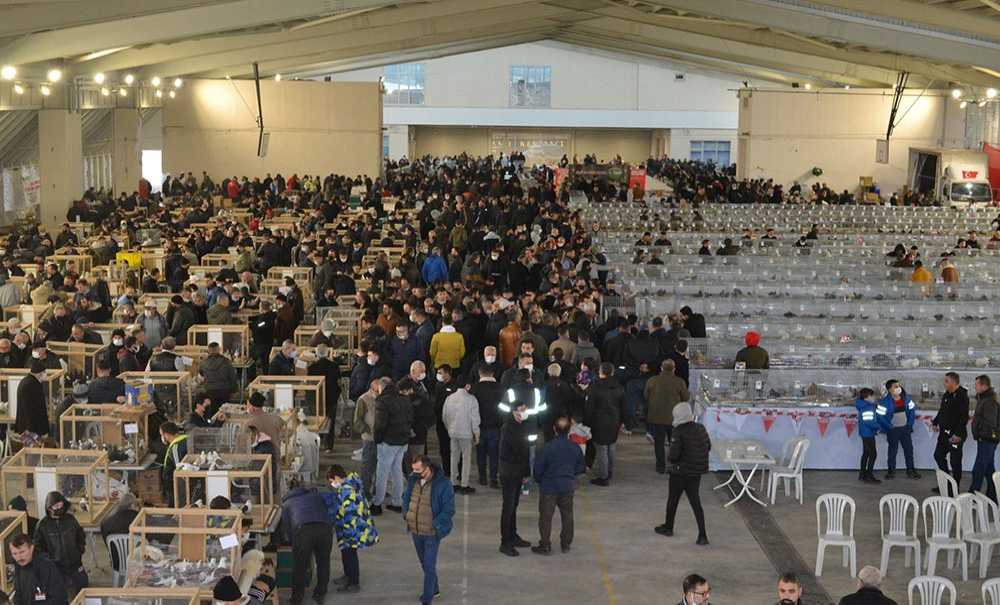 Festival Büyük İlgi Gördü