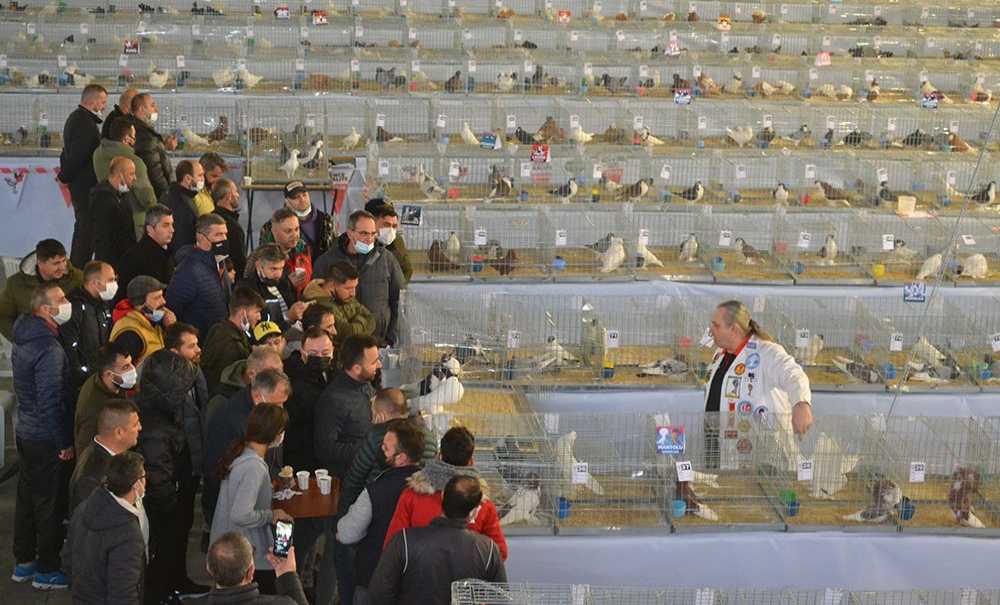 Festival Büyük İlgi Gördü