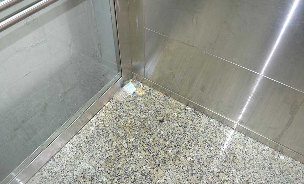 Bir Ayda Bu Hale Geldi!