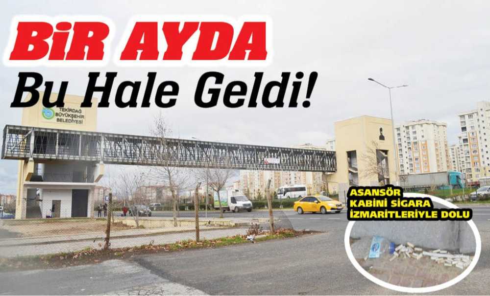 Bir Ayda Bu Hale Geldi!