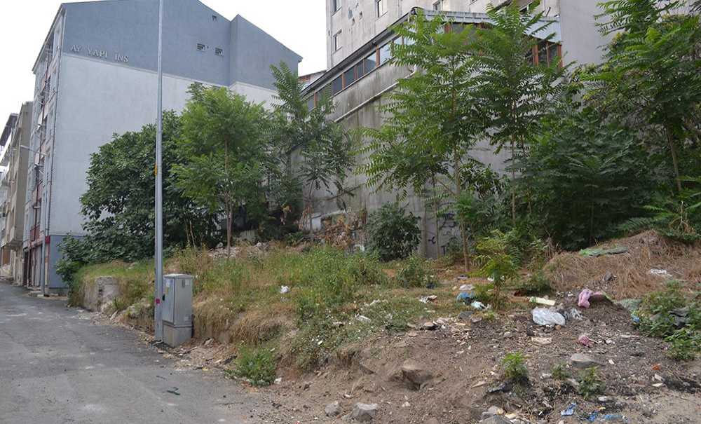 İzbelik Alan Şimdi Hayırlı Bir İşe Yaradı