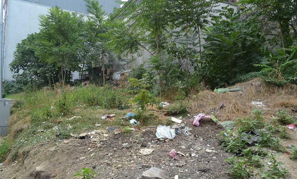 İzbelik Alan Şimdi Hayırlı Bir İşe Yaradı