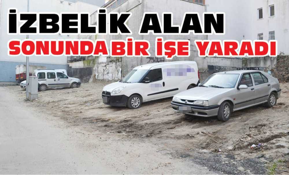 İzbelik Alan Şimdi Hayırlı Bir İşe Yaradı