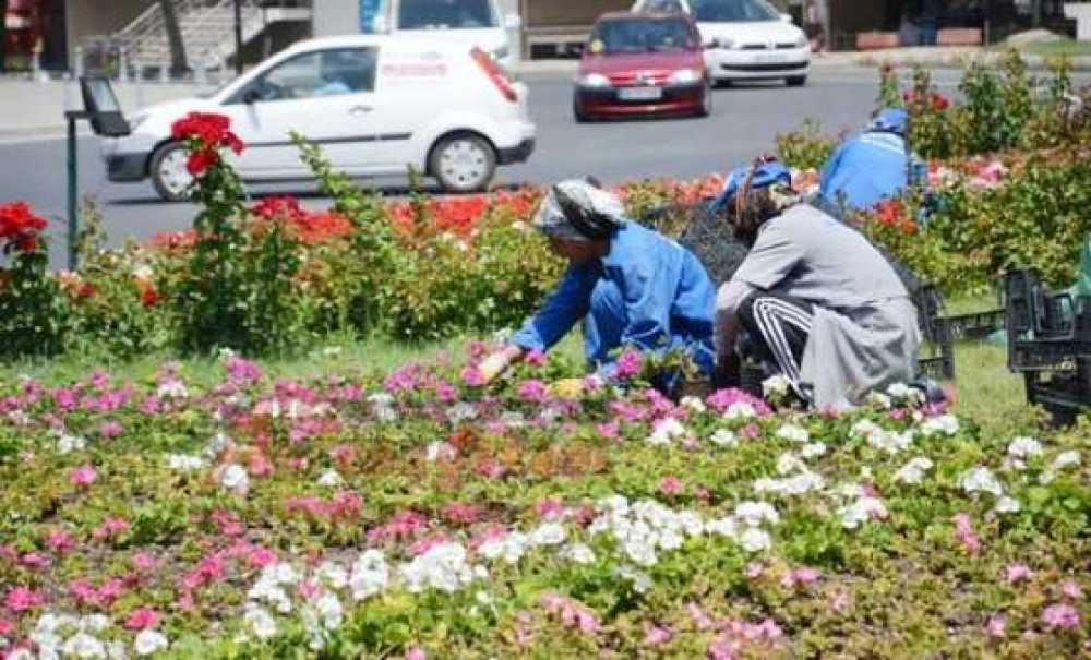 Çiçeklerden Görsel Şölen