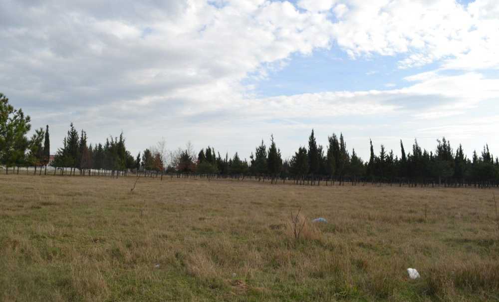Tema Parkı'nda Yürüyüş Yolları Düzenlendi