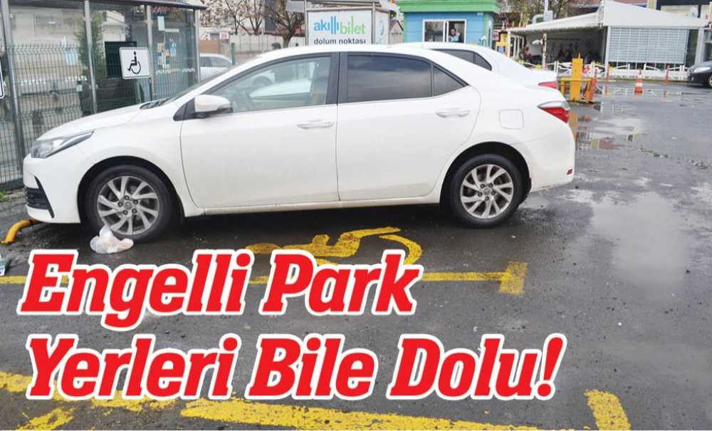 Engelli Park Yerleri Bile Dolu!