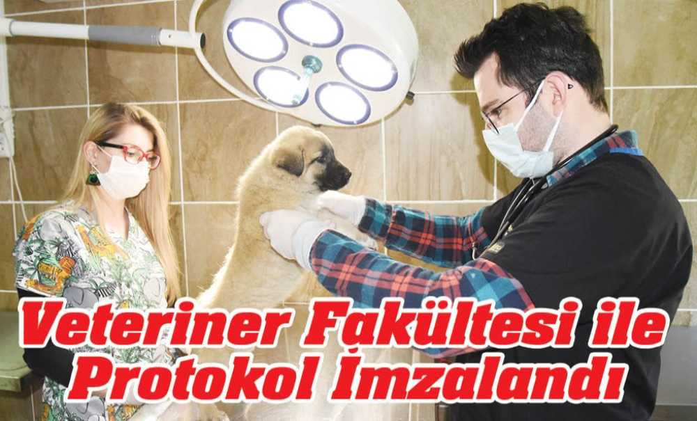 Veteriner Fakültesi Ile Protokol İmzaladı
