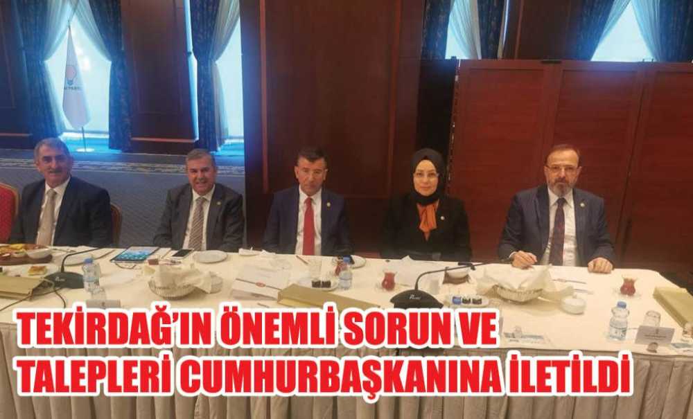 Tekirdağ'ın Önemli Sorun Ve Talepleri Cumhurbaşkanına İletildi