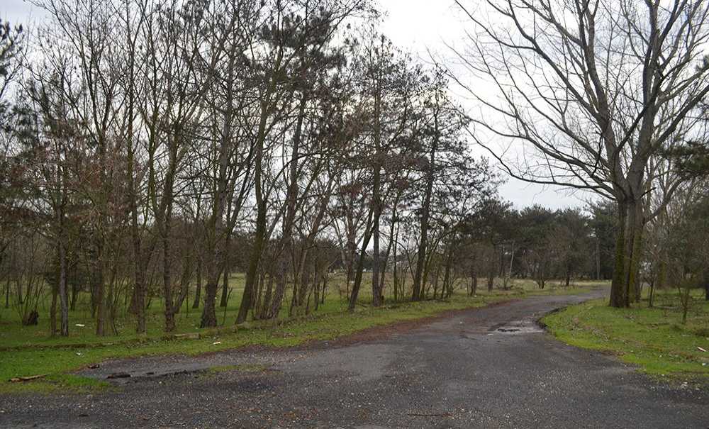 “Ağıltepe Millet Bahçesi Olabilir”