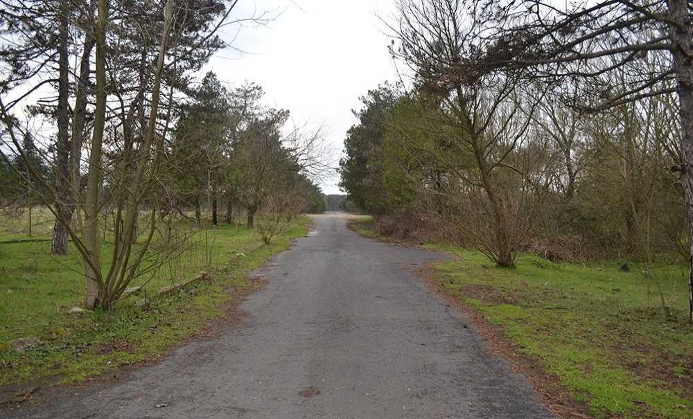 “Ağıltepe Millet Bahçesi Olabilir”