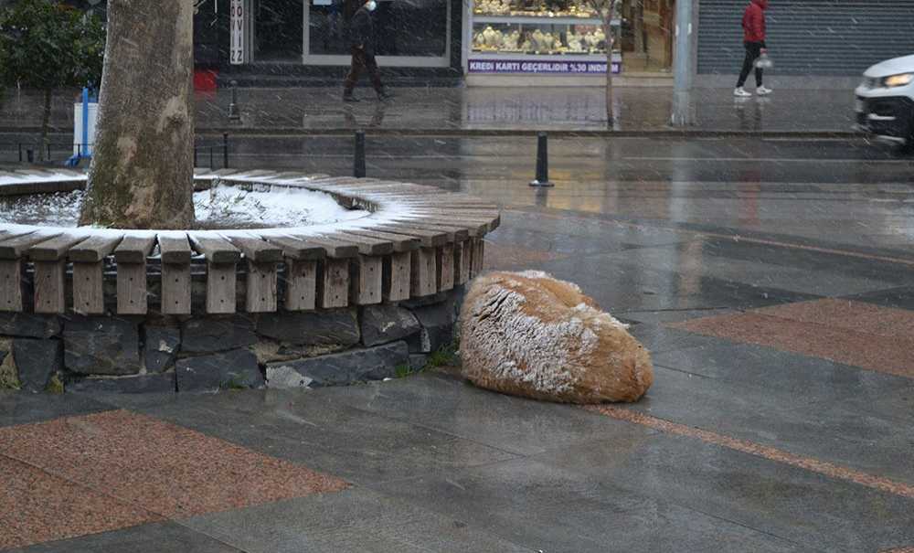 Soğuk Havalar Sokak Hayvanlarını Olumsuz Etkiliyor!