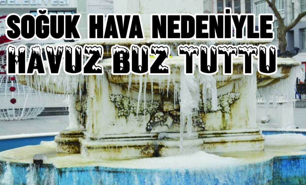 Soğuk Hava Nedeniyle Havuz Buz Tuttu