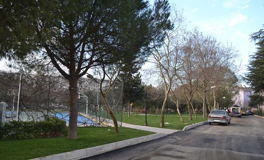 Kıvanç Sitesi Temizliği Ve Yeşil Alanlarıyla Dikkat Çekiyor