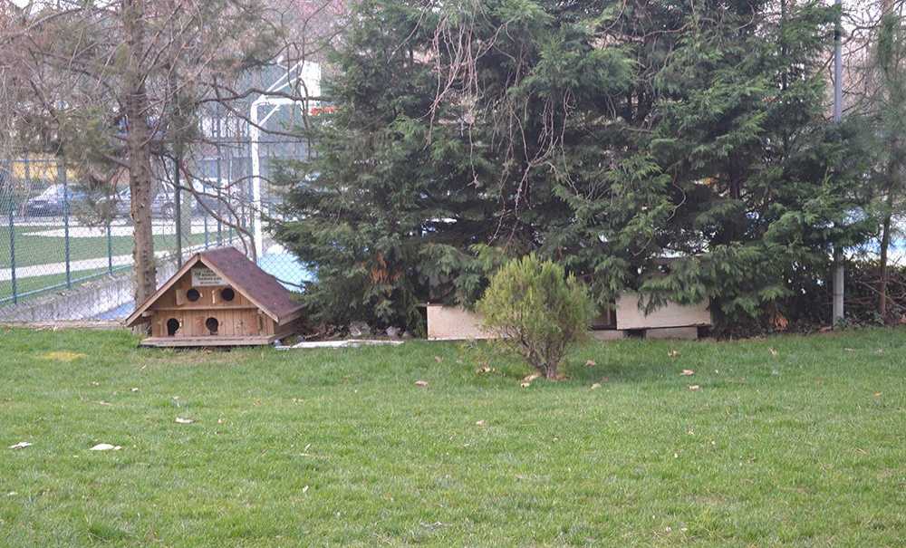 Kıvanç Sitesi Temizliği Ve Yeşil Alanlarıyla Dikkat Çekiyor