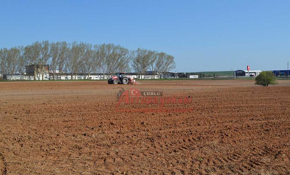 Gübre Fiyatları Çok Fazla Düşmedi