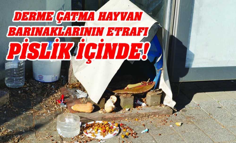 Derme Çatma Hayvan Barınaklarının Etrafı Pislik İçinde!