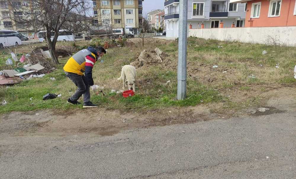 Çorlu Belediyesi Can Dostların Yanında