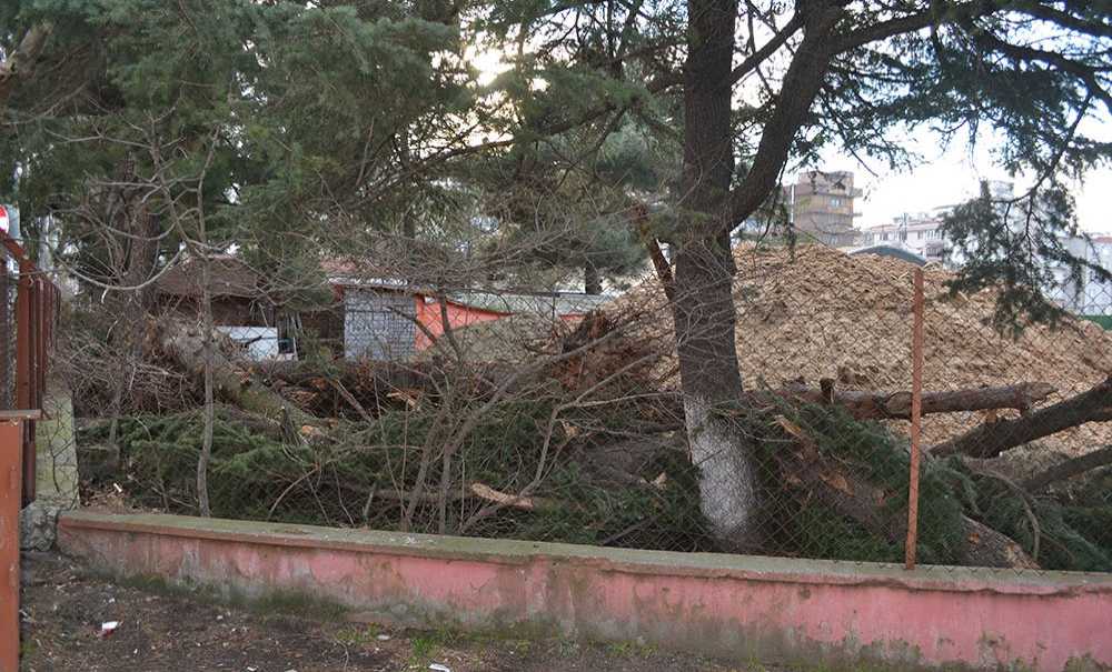 Spor Alanları Harabeliğe Döndü!