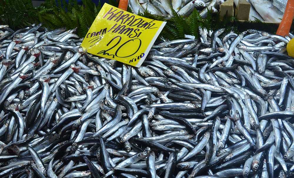 Hamsi 15-20 Liradan Alıcı Buluyor