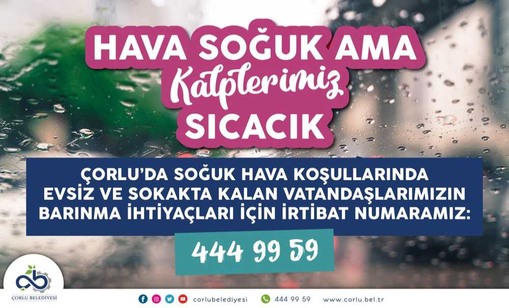 Sokakta Bırakmıyor, Sıcak Bir Yuva Sunuyoruz!