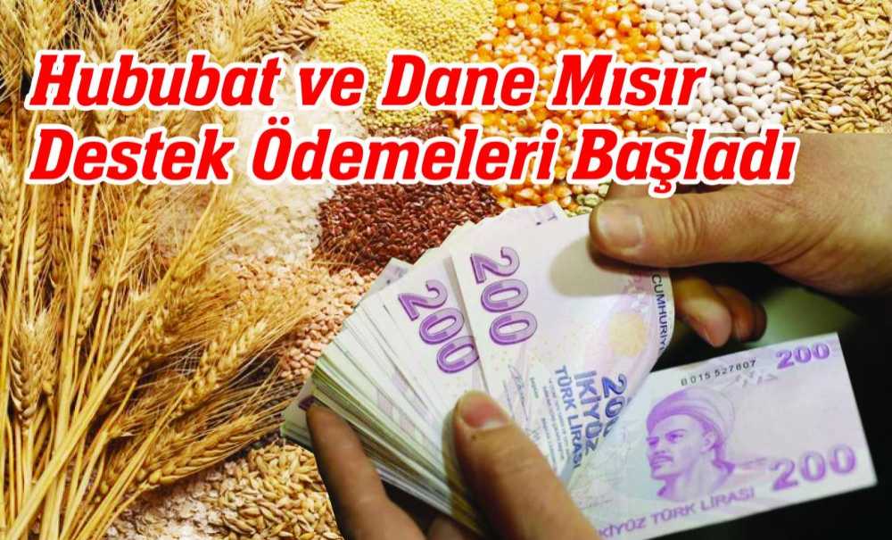 Hububat Ve Dane Mısır Destek Ödemeleri Başladı
