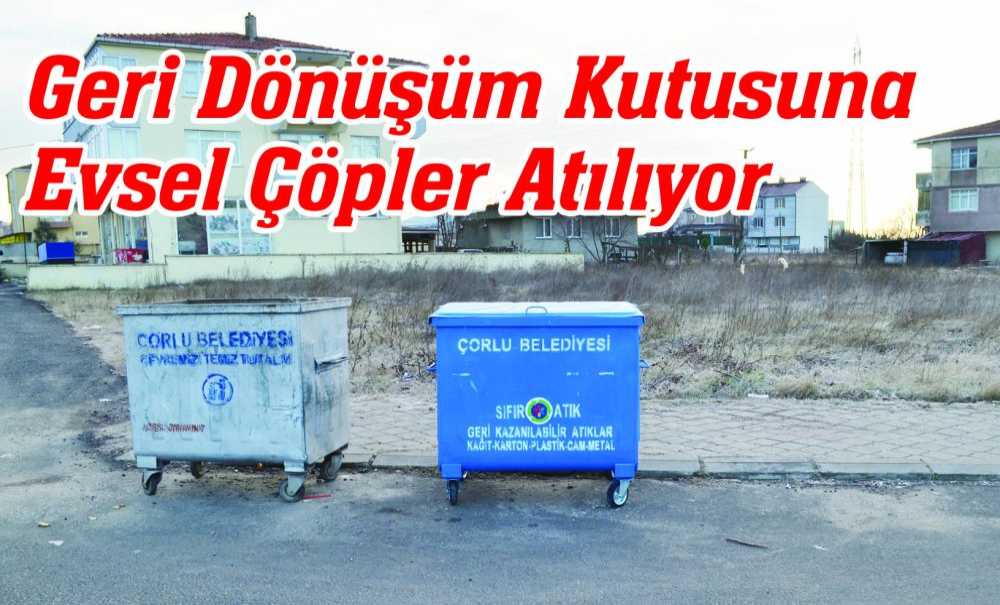 Geri Dönüşüm Kutusuna Evsel Çöpler Atılıyor