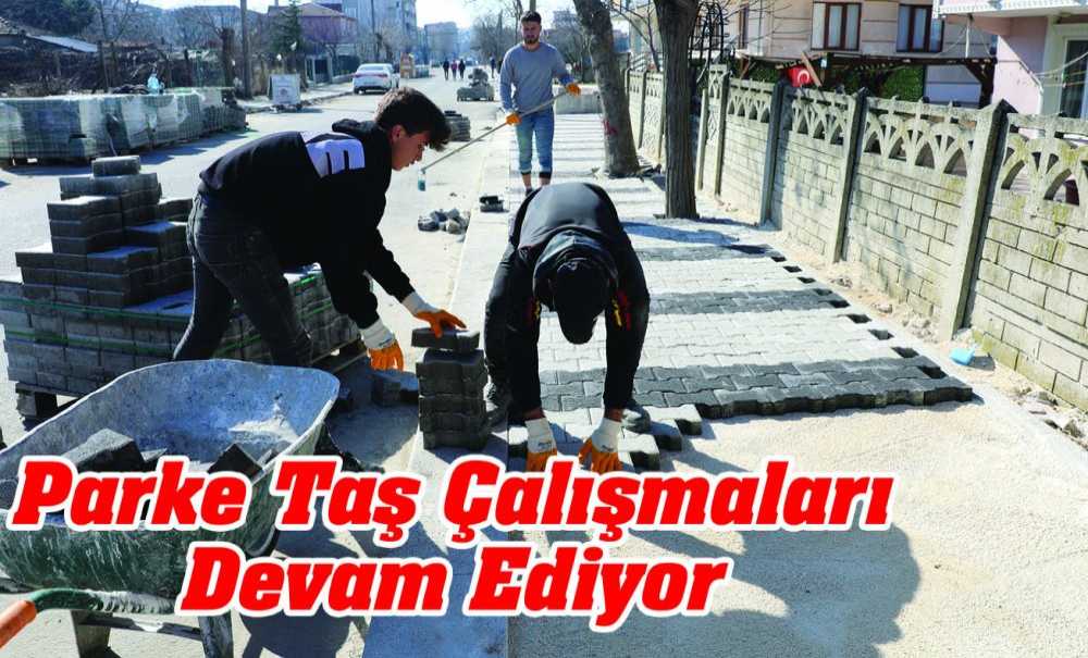 Parke Taş Çalışmaları Devam Ediyor