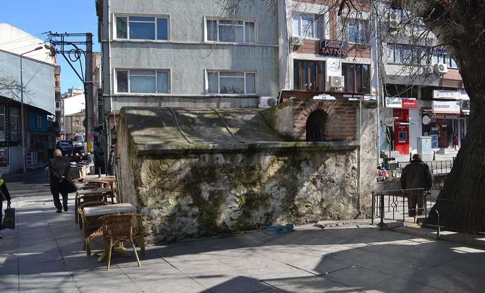 Tarihi Çeşmenin Duvarları Yosun Tuttu