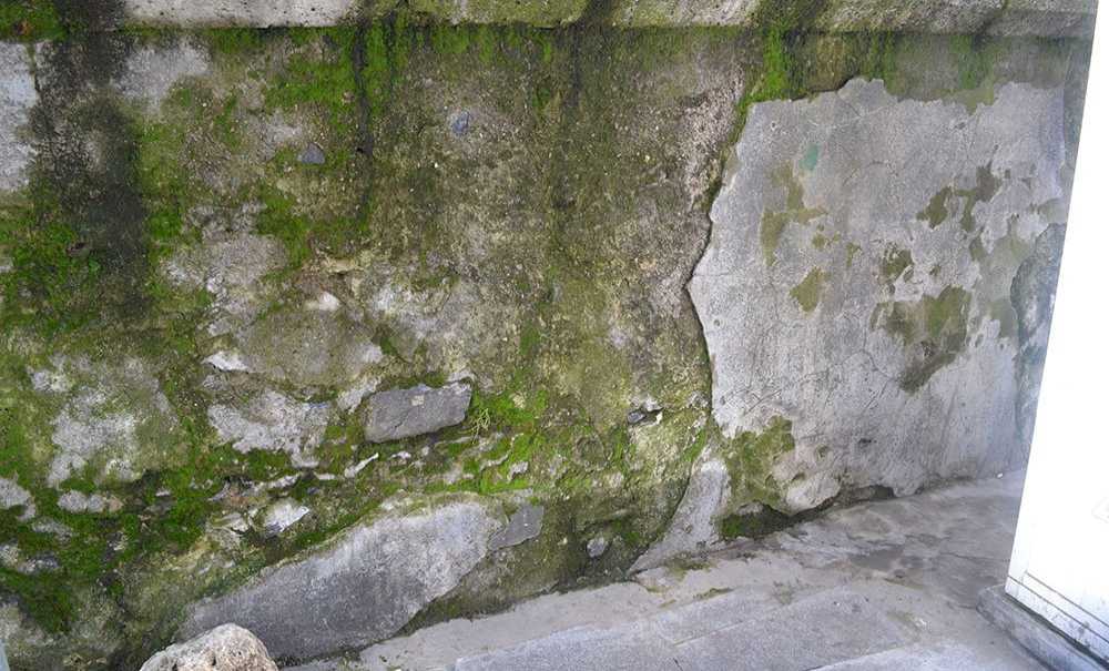 Tarihi Çeşmenin Duvarları Yosun Tuttu