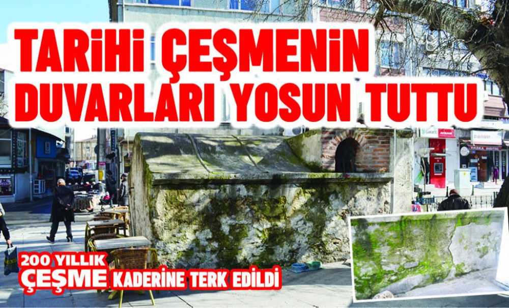Tarihi Çeşmenin Duvarları Yosun Tuttu