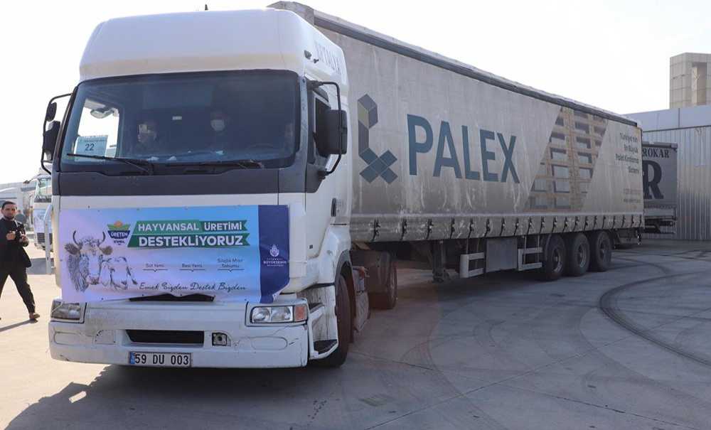 Hayvan Üreticilerine Büyük Destek