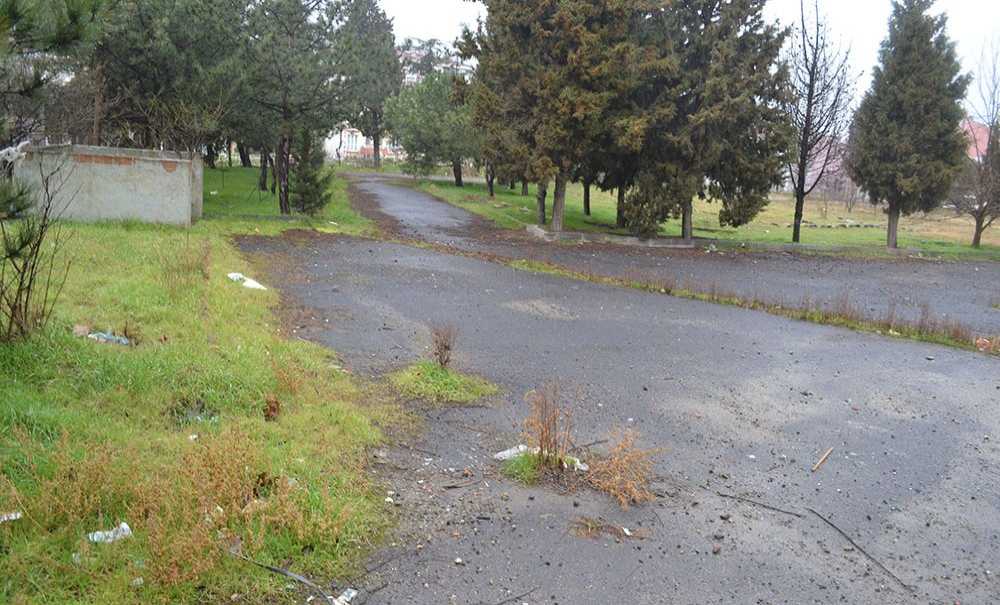 10 Dönümlük Arazi Yıllardır Boş Duruyor