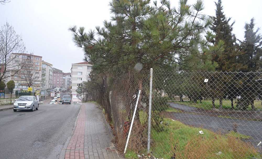 10 Dönümlük Arazi Yıllardır Boş Duruyor