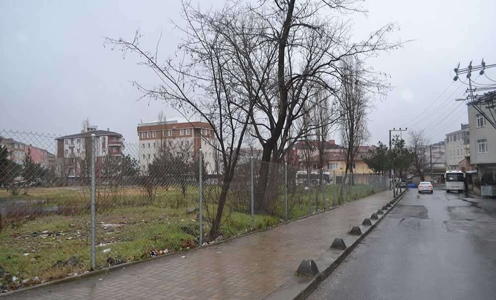 10 Dönümlük Arazi Yıllardır Boş Duruyor