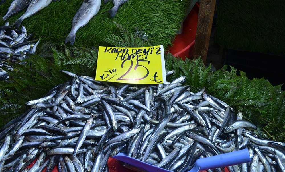 Hamsinin Kilosu 25 Lira