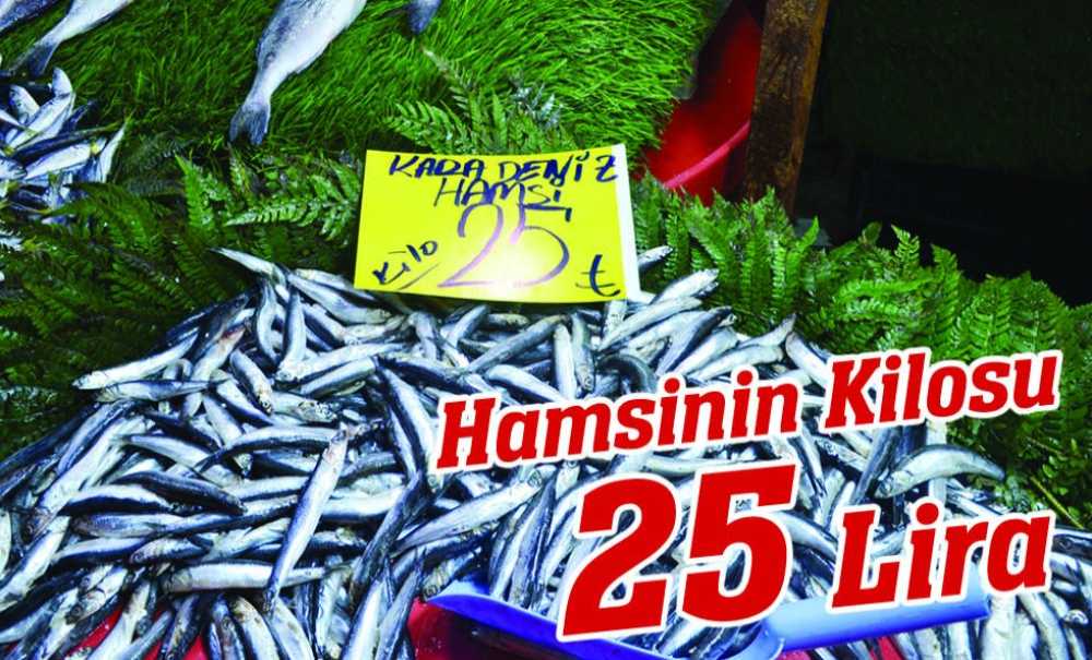 Hamsinin Kilosu 25 Lira