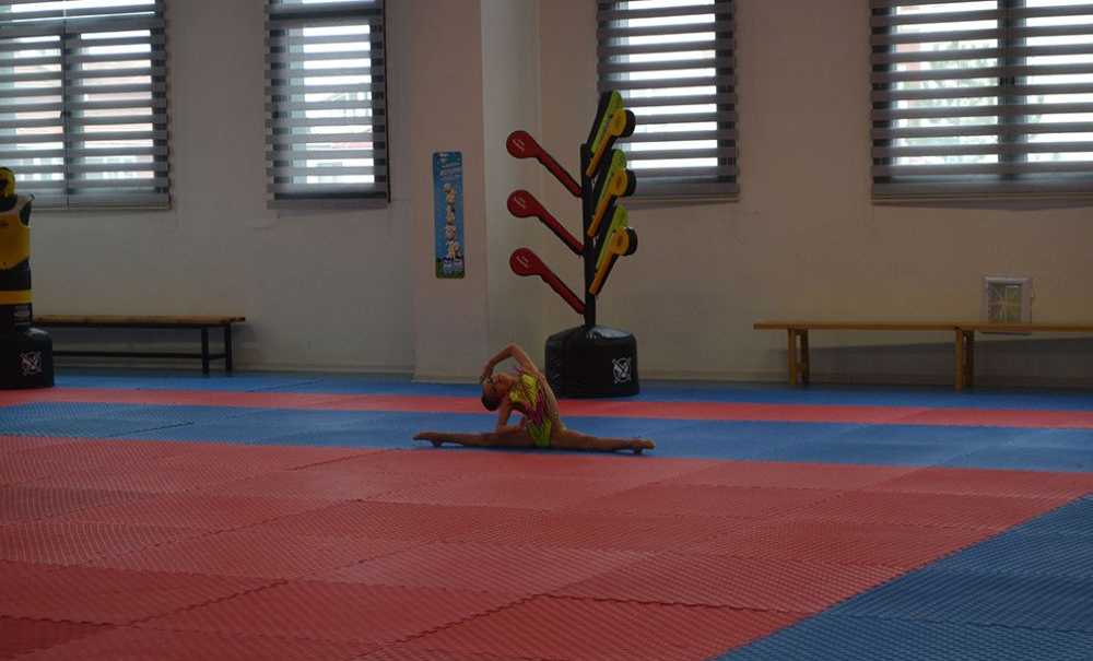 Minik Jimnastikçiler, İzleyicileri Büyüledi