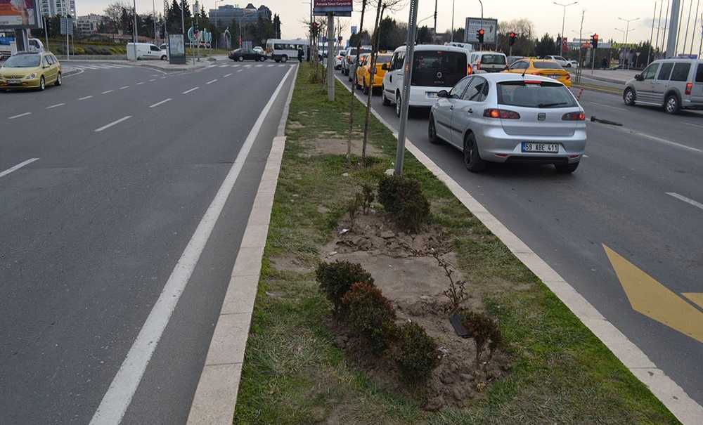 Vatandaşlar Refüjlere Bakım İstiyor
