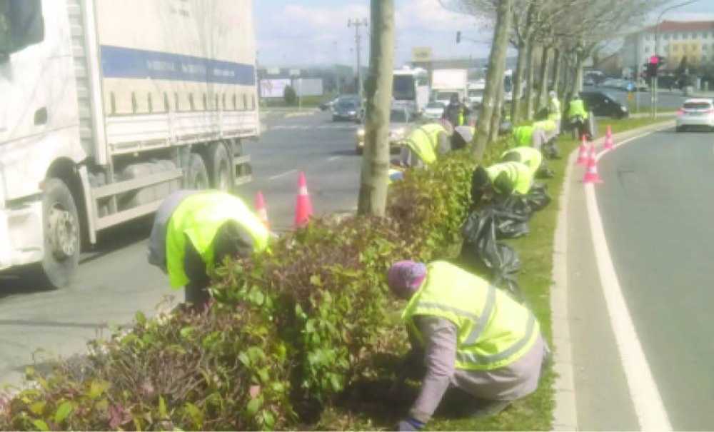 Büyükşehir Refüjleri Bakıma Aldı