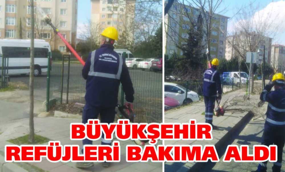 Büyükşehir Refüjleri Bakıma Aldı