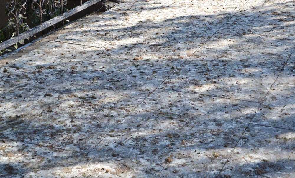 Müzenin Önü Hiç Mi Temizlenmiyor?