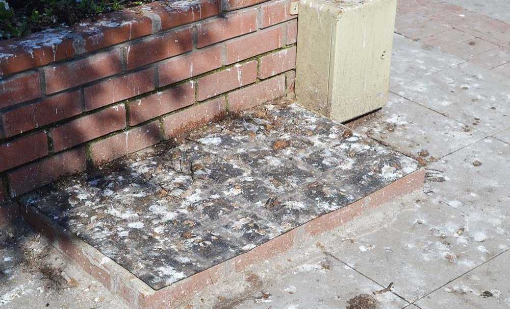 Müzenin Önü Hiç Mi Temizlenmiyor?