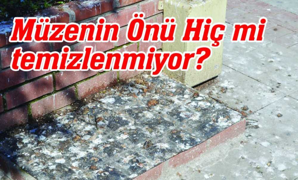 Müzenin Önü Hiç Mi Temizlenmiyor?