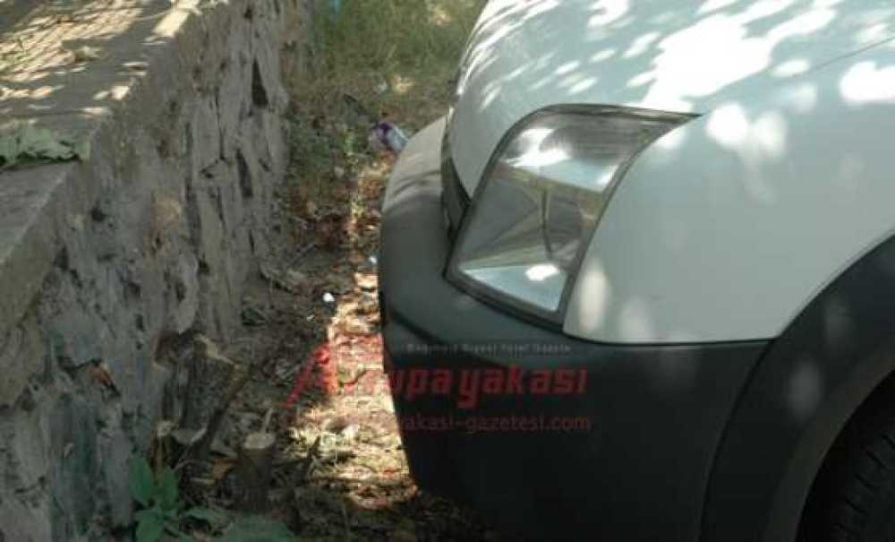 Park Yeri Açmak İçin Ağaç Kesildi İddiası