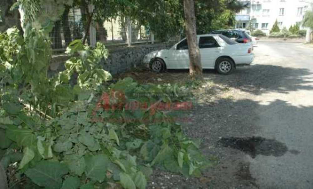 Park Yeri Açmak İçin Ağaç Kesildi İddiası