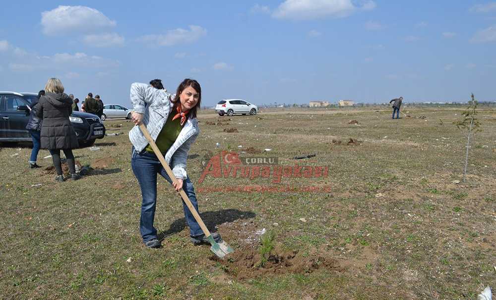 Memleket Partisi Yeşili Önemsiyor
