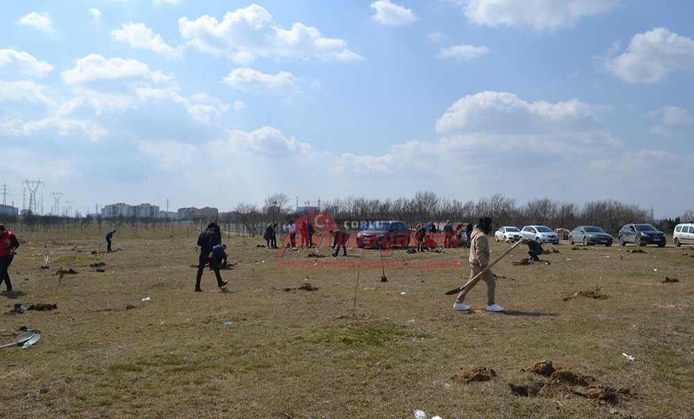 Memleket Partisi Yeşili Önemsiyor