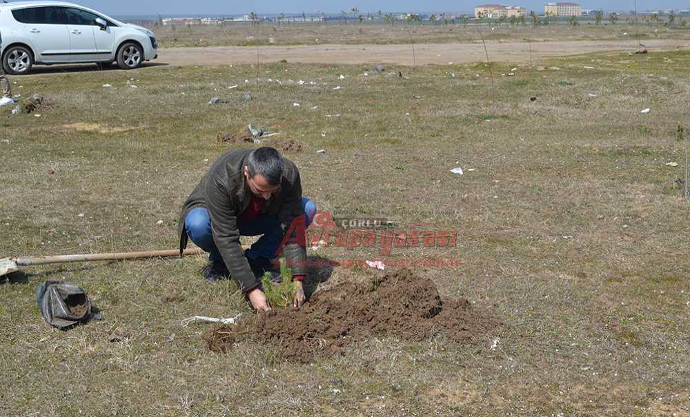 Memleket Partisi Yeşili Önemsiyor