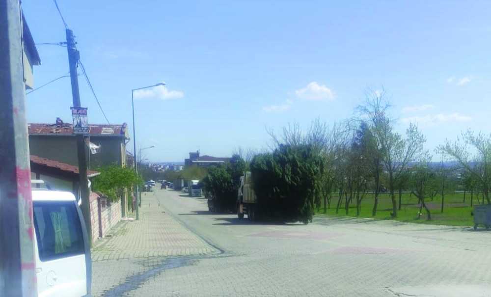 Ergene'de Ağaçların Sökülmesine Vatandaş Tepki Gösterdi