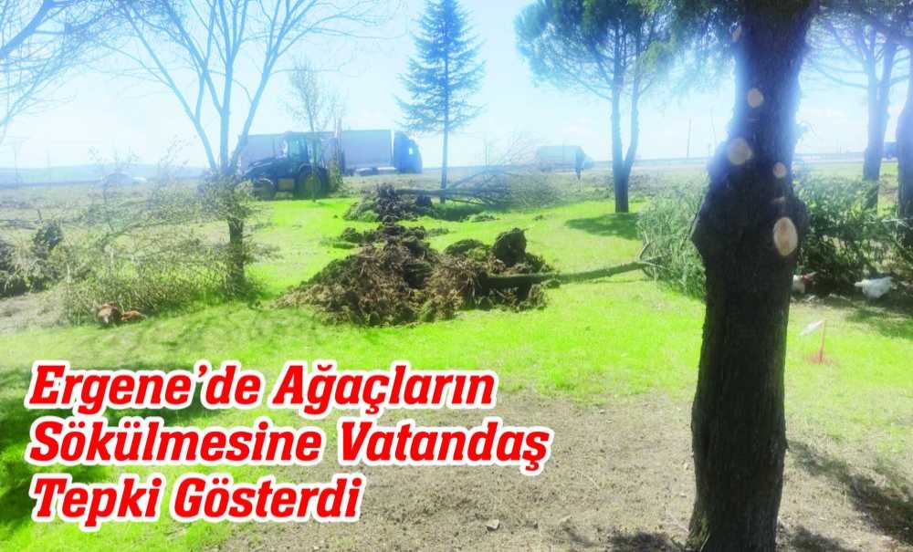 Ergene'de Ağaçların Sökülmesine Vatandaş Tepki Gösterdi
